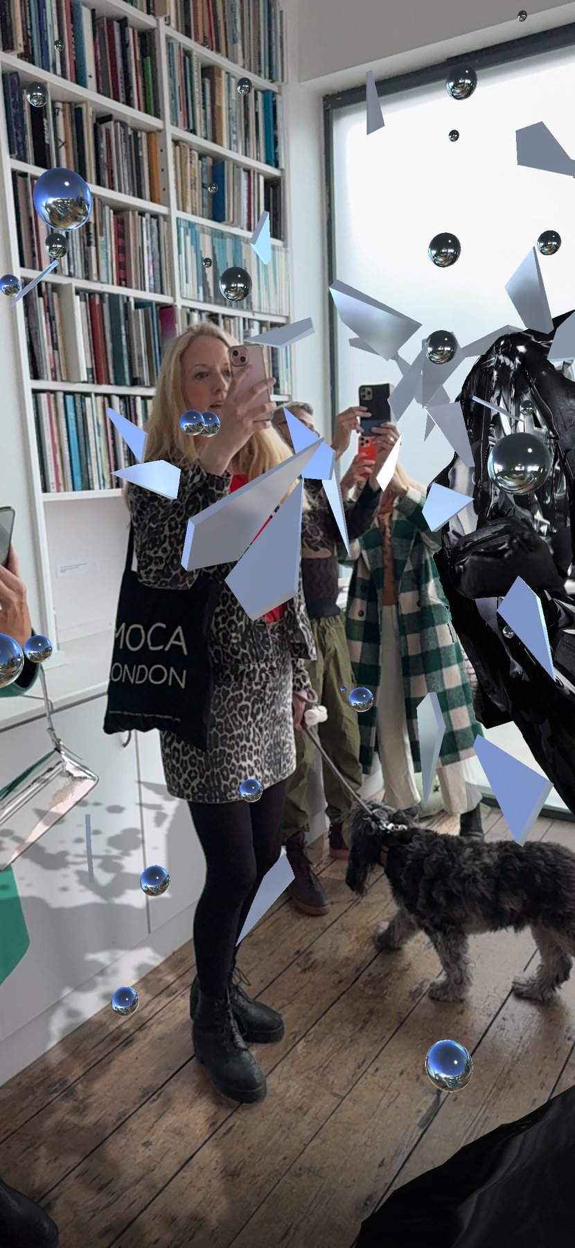 Encounter AR view: a woman photographs the scene near the bookcase while a dog stands beside her; glass shards and spheres hang in the air.